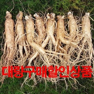 대량구매할인상품 원수삼대(40~45뿌리)3.750g